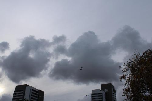 CIELO
