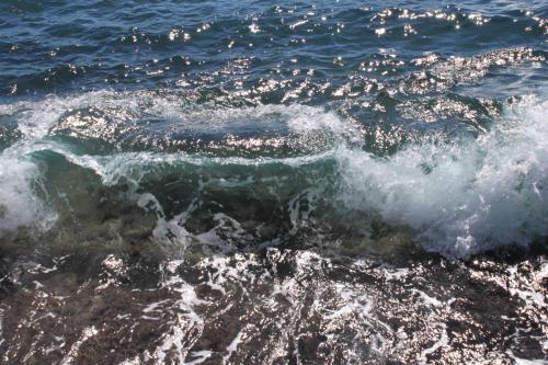 OLAS