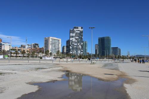 REFLEJO